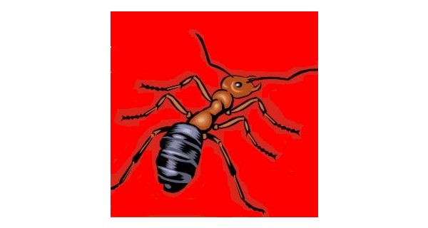 Ants Woodworks Logo